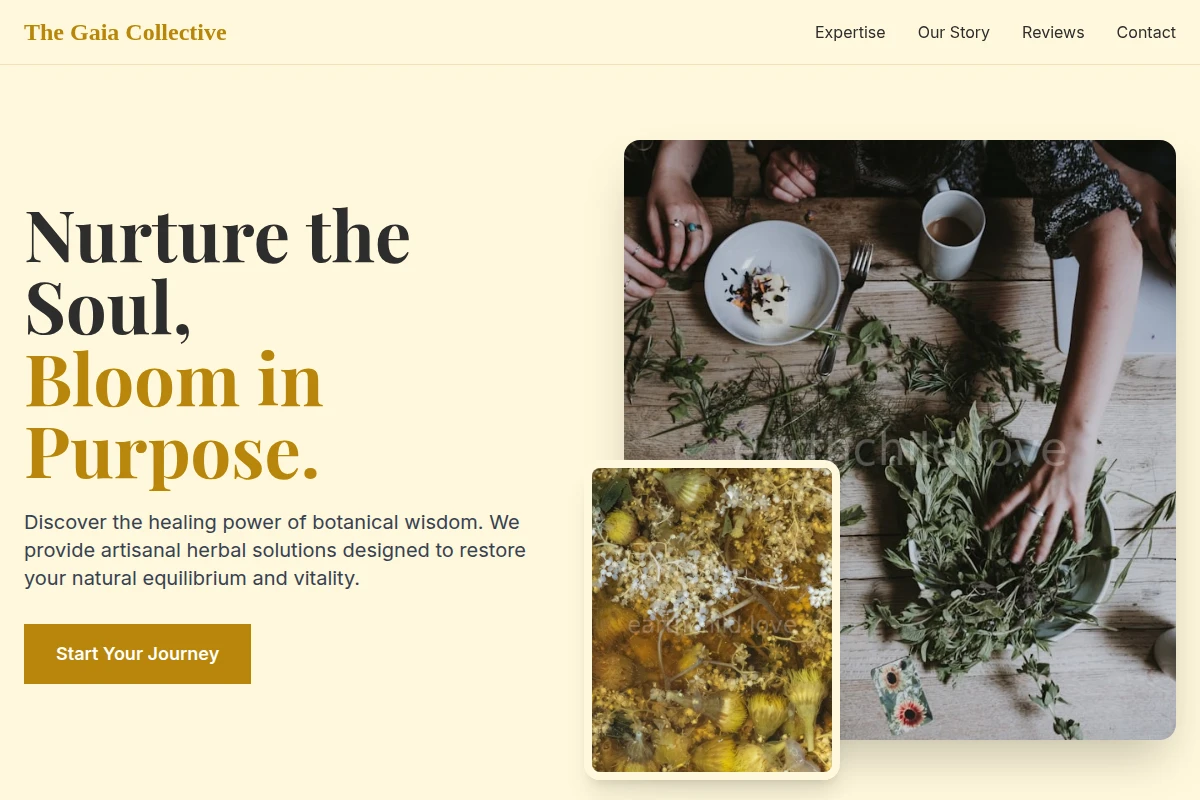 Branch Herbalism