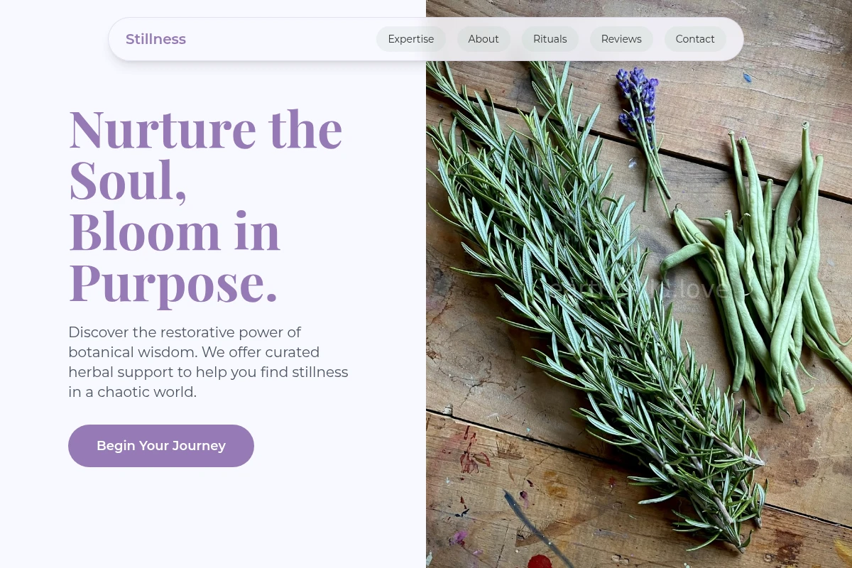 Stillness Herbalism